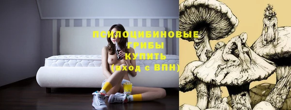 ешки Бугульма