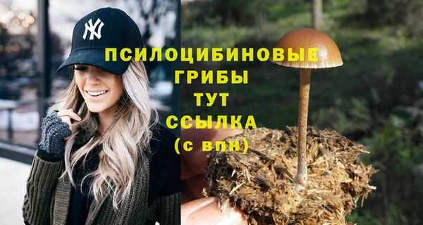 кокаин премиум Бородино