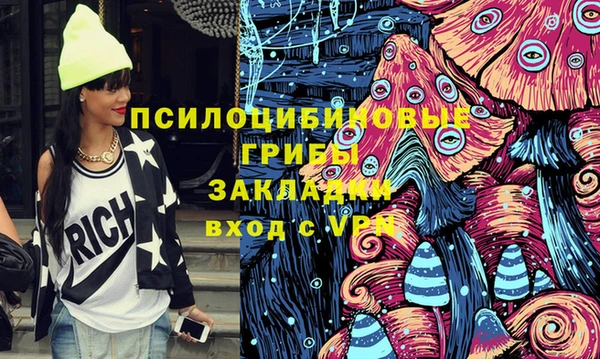 ешки Бугульма