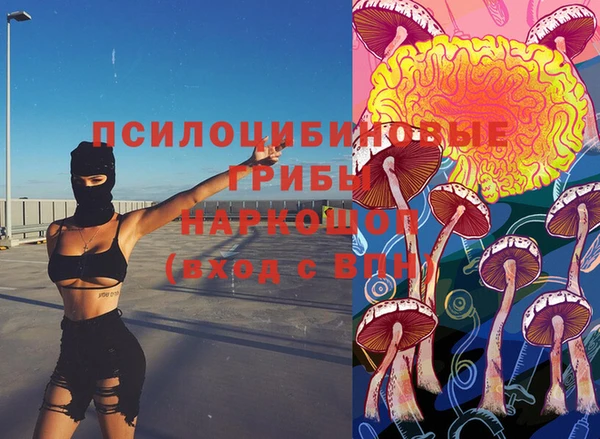 ешки Бугульма
