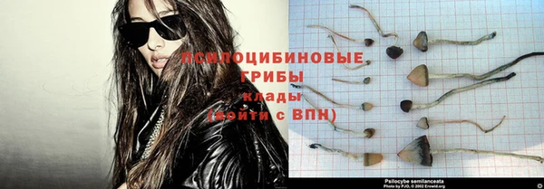 ешки Бугульма