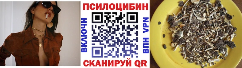 Галлюциногенные грибы Psilocybe  Купить закладки  Петровск-Забайкальский 