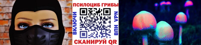 Псилоцибиновые грибы Magic Shrooms Петровск-Забайкальский